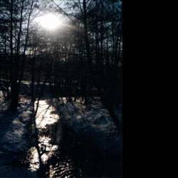 Venedae : Diabol Sive Zcerneboh